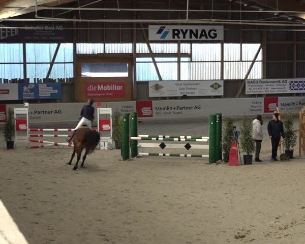 Reitturnier Henau 2024