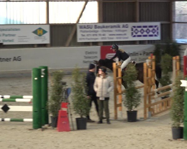 Reitturnier Henau 2024