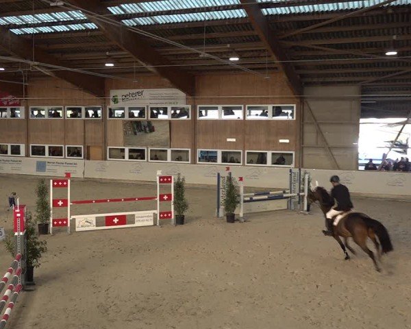 Reitturnier Henau 2024