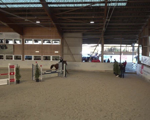 Reitturnier Henau 2024
