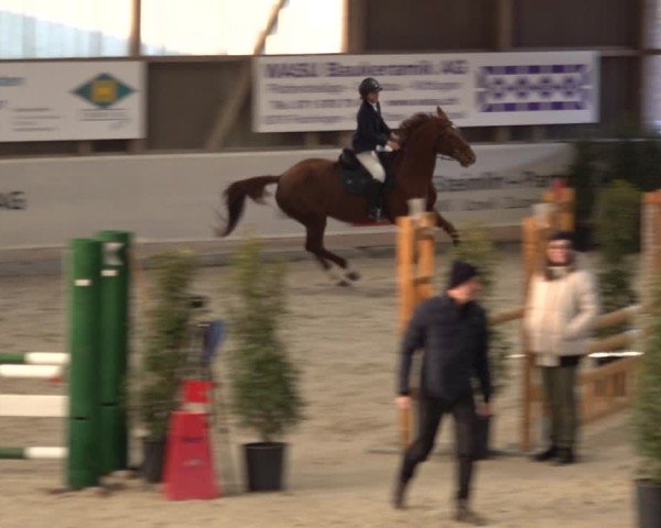 Reitturnier Henau 2024