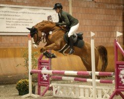 Springpferd Mrs. Minion R (Deutsches Reitpony, 2017, von FS Mr. Right)