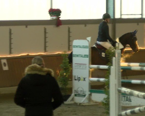 Reitturnier Südlohn-Oeding 2024