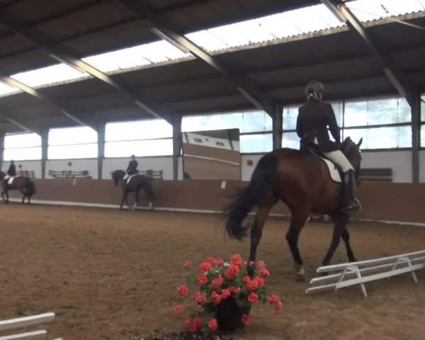 Datteln 2013