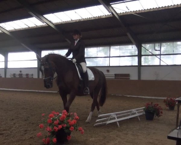 Datteln 2013