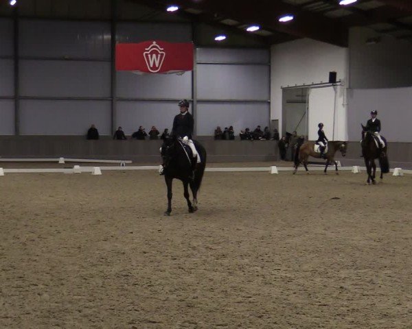 Reitturnier Münster-Handorf 2024