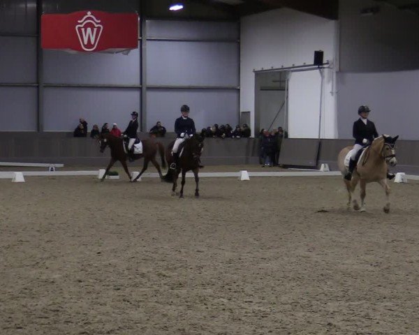 Reitturnier Münster-Handorf 2024