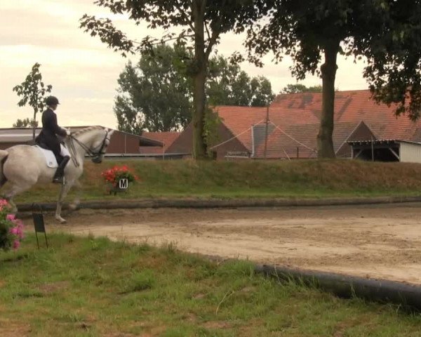 Datteln 2013