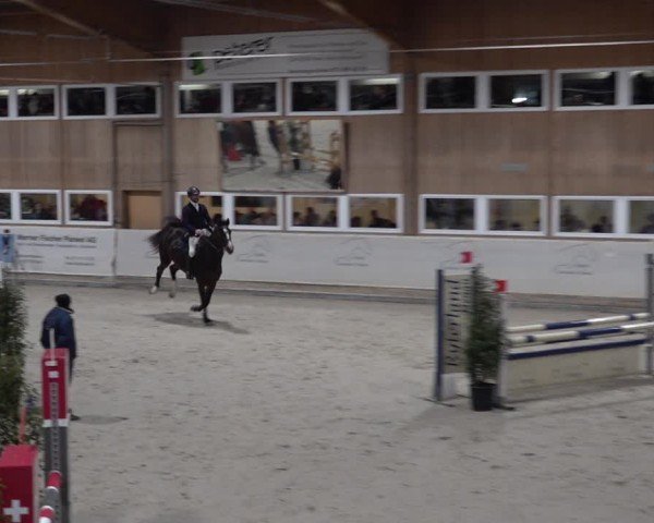 Reitturnier Henau 2024