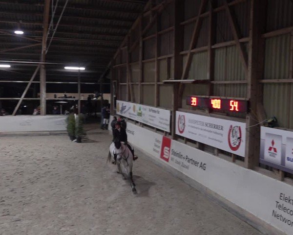 Reitturnier Henau 2024