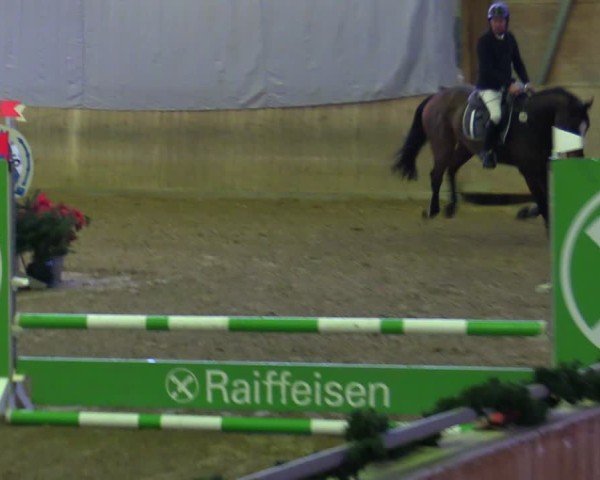 Reitturnier Köln-Leverkusen 2024