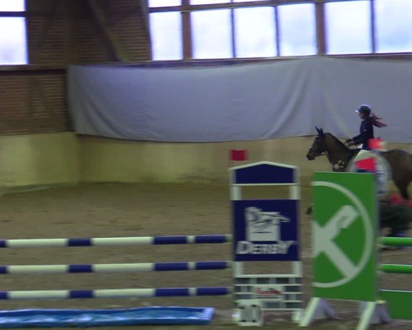 Reitturnier Köln-Leverkusen 2024