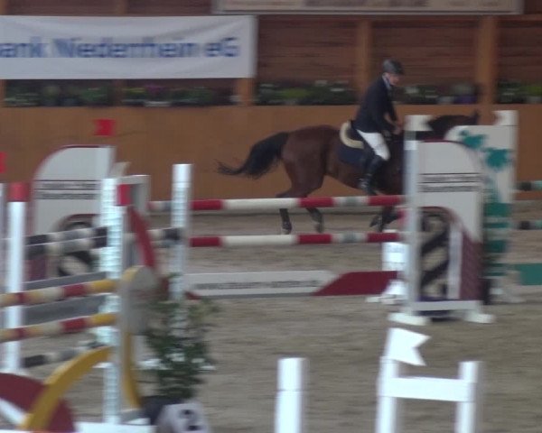 Springturnier Xanten - Reitanlage Miss 2021