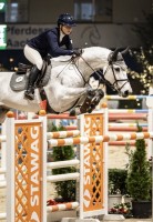 jumper Campino 591 (Holsteiner, 2015, from Casall Ask)