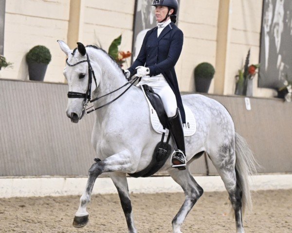 dressage horse Vianne (Hanoverian, 2016, from Vitalis)