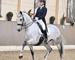 dressage horse Vianne (Hanoverian, 2016, from Vitalis)