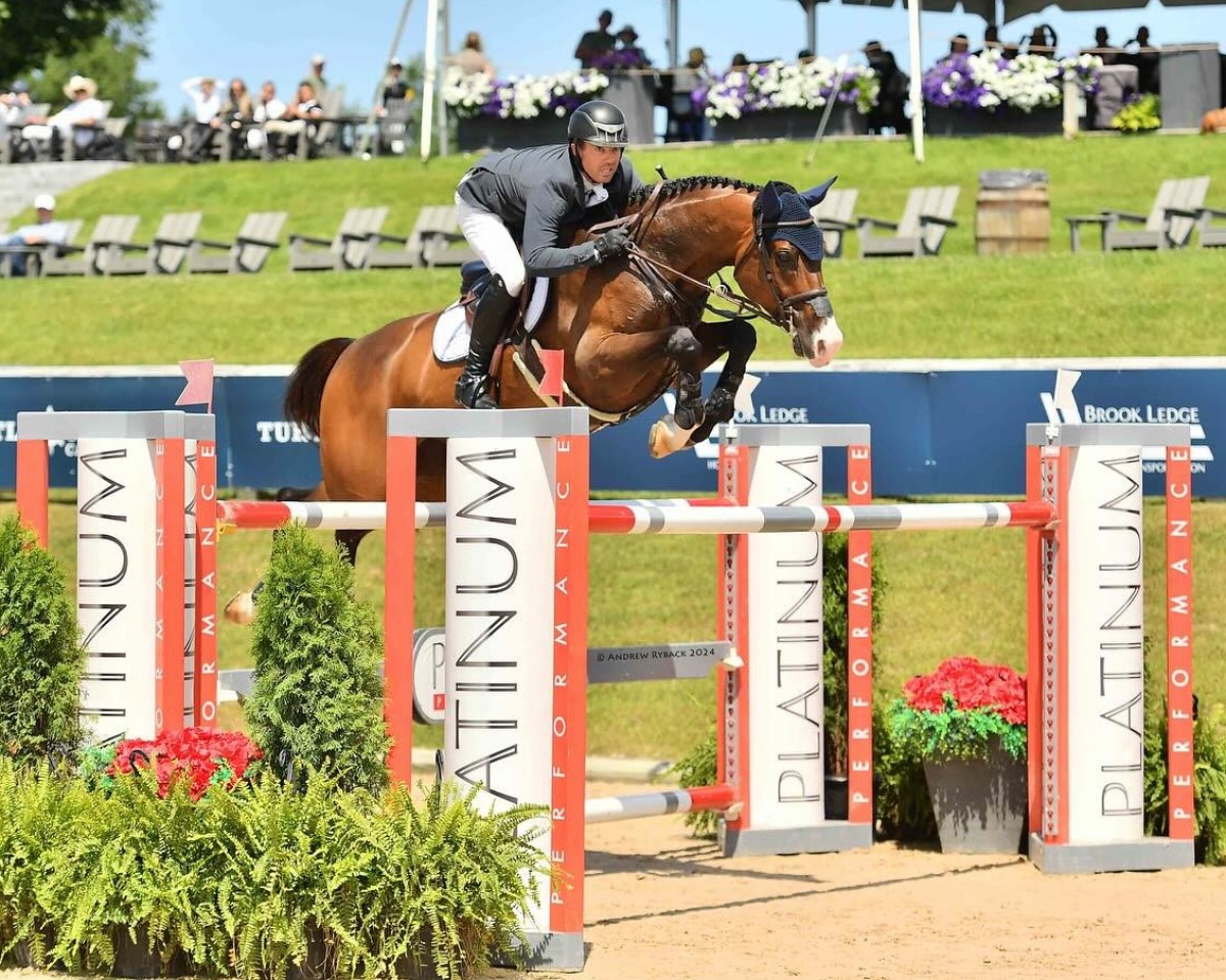 jumper Sundhojs EOS (Danish Warmblood, 2014)