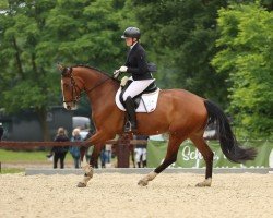 dressage horse Domino's Trust (Rhinelander, 2017, from Diacontinus)