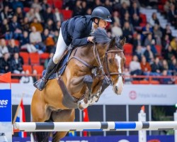 jumper Its Me G (KWPN (Royal Dutch Sporthorse), 2013, from Eldorado van de Zeshoek)