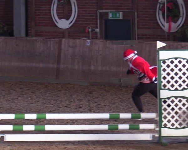 Reitturnier Köln-Leverkusen 2024