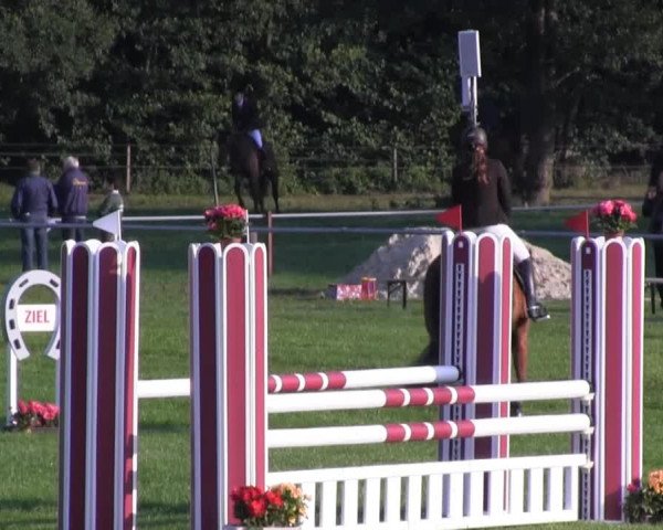 Reitsporttage an der Führser Mühle 2013