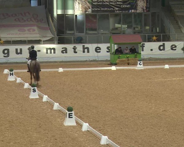 Reitturnier Kreuth/Opf. 2024