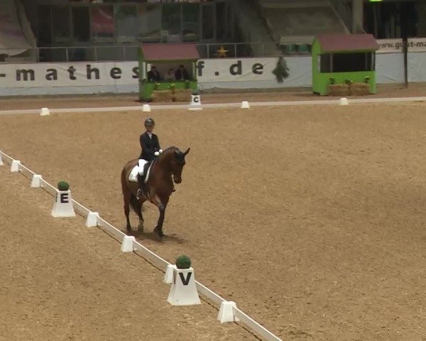 Reitturnier Kreuth/Opf. 2024