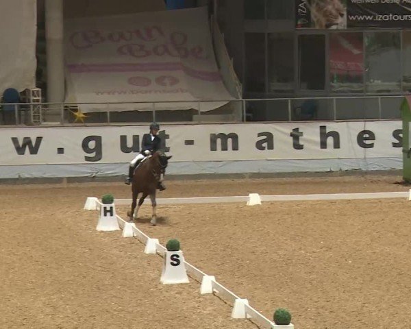 Reitturnier Kreuth/Opf. 2024