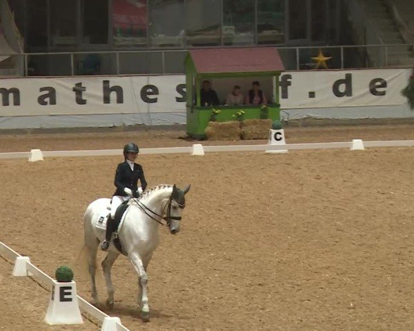 Reitturnier Kreuth/Opf. 2024