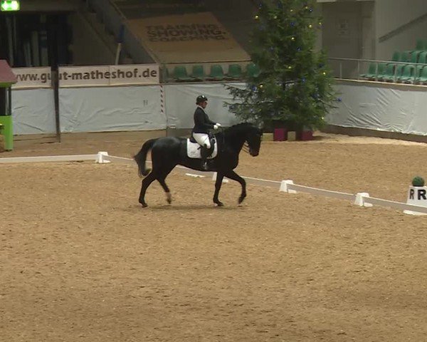 Reitturnier Kreuth/Opf. 2024