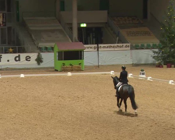 Reitturnier Kreuth/Opf. 2024