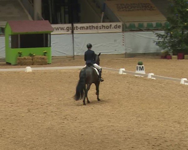 Reitturnier Kreuth/Opf. 2024