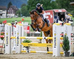 jumper I'm Johny Iconic (Brandenburg, 2010, from Imam du Perchet)