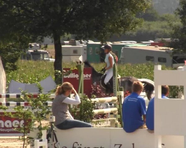 Reitturnier Menden 2013