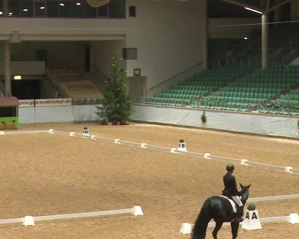 Reitturnier Kreuth/Opf. 2024