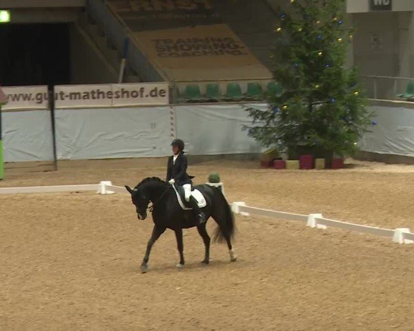 Reitturnier Kreuth/Opf. 2024