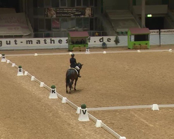 Reitturnier Kreuth/Opf. 2024