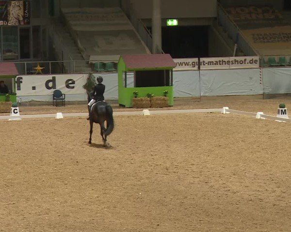 Reitturnier Kreuth/Opf. 2024