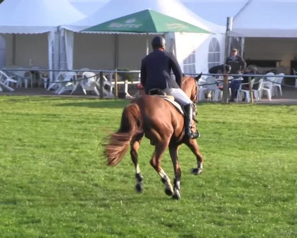 Reitsporttage an der Führser Mühle 2013