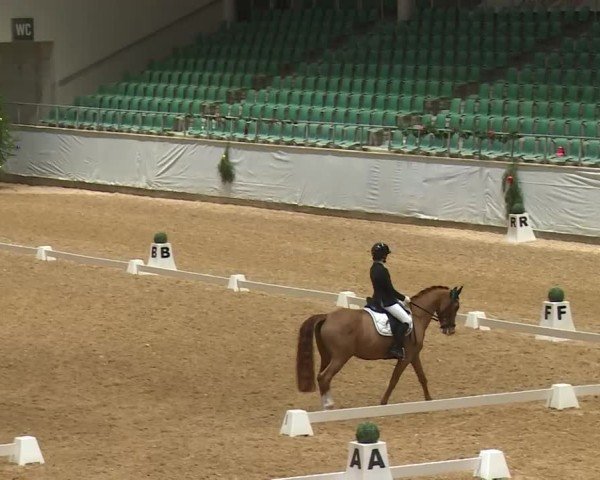Reitturnier Kreuth/Opf. 2024