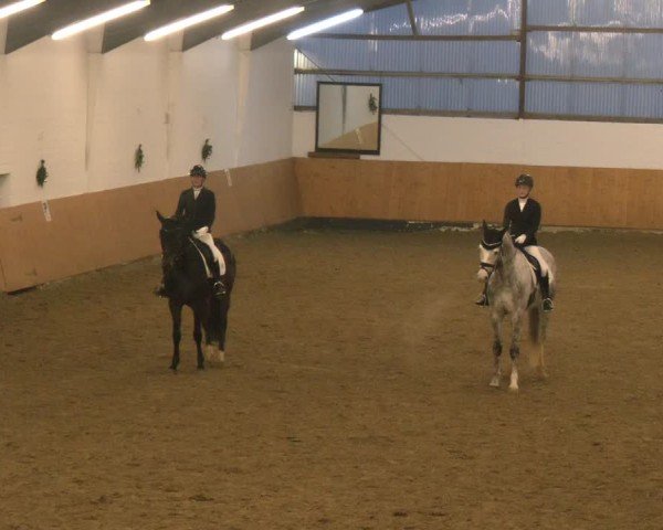 Reitturnier Datteln - Dressur-Late-Entry 2024
