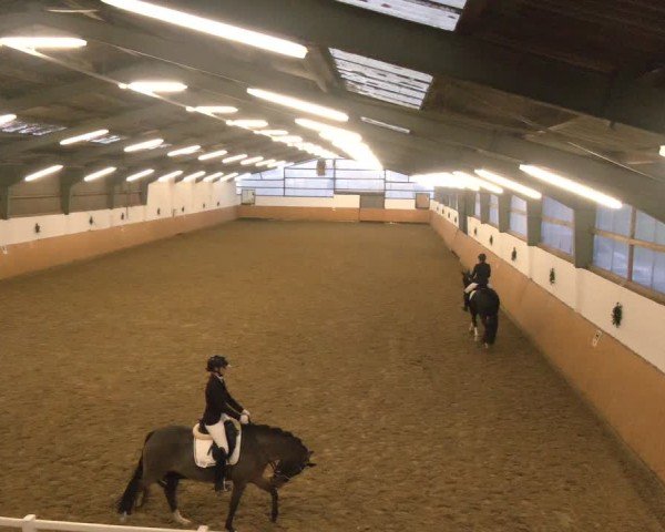 Reitturnier Datteln - Dressur-Late-Entry 2024