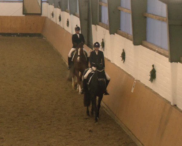 Reitturnier Datteln - Dressur-Late-Entry 2024