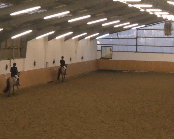 Reitturnier Datteln - Dressur-Late-Entry 2024