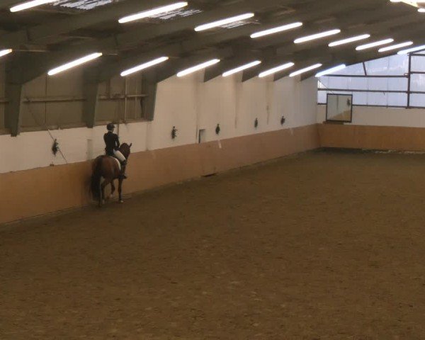 Reitturnier Datteln - Dressur-Late-Entry 2024