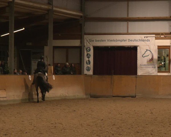 Reitturnier Appelhülsen 2024