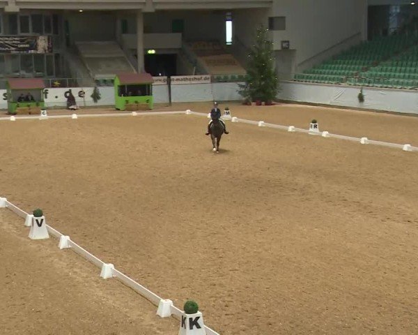 Reitturnier Kreuth/Opf. 2024