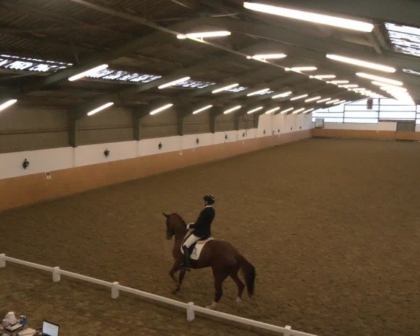 Reitturnier Datteln - Dressur-Late-Entry 2024
