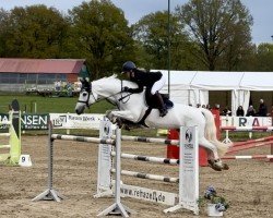 jumper Betty 241 (Holsteiner, 2009, from Corrado I)
