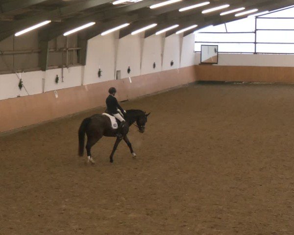 Reitturnier Datteln - Dressur-Late-Entry 2024